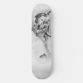 Dolphin Skateboard