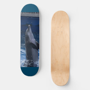 Dolphin Skateboard