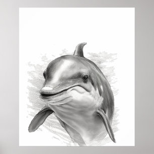 Dolphin Sketch Portrait  Black white Poster