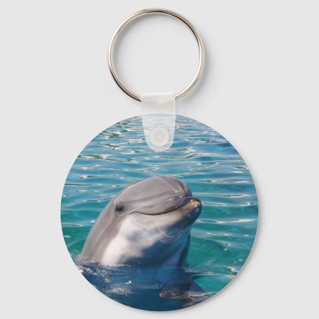 Dolphin Smile Keychain (Front)