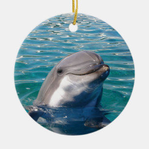 Dolphin Smile, Personalize as Desired Ceramic Ornament