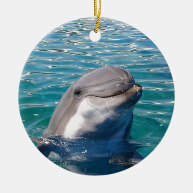 Dolphin Smile, Personalize as Desired Ceramic Ornament (Front)