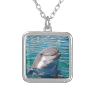 Dolphin Smile Silver Plated Necklace