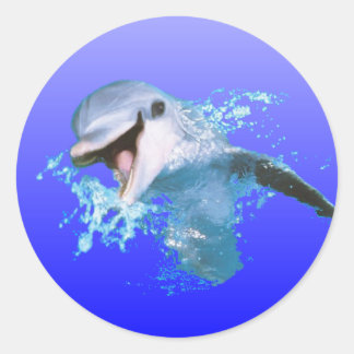 Dolphin Smiling Classic Round Sticker