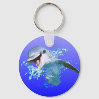 Dolphin Smiling Keychain