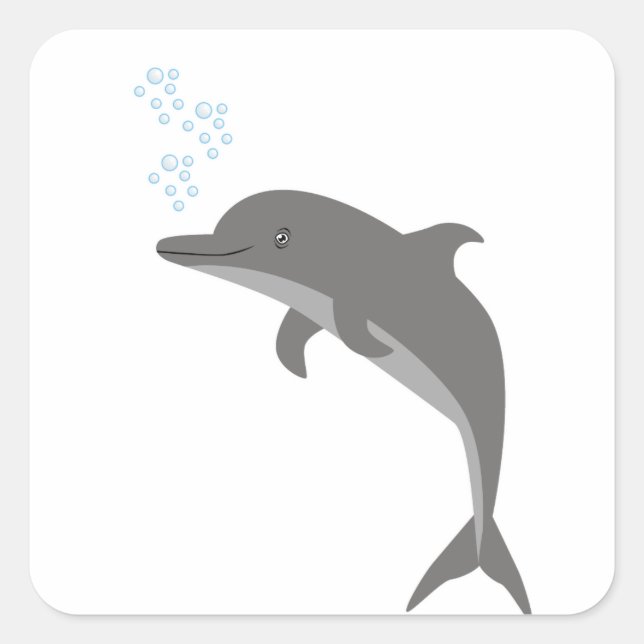 Dolphin Square Sticker (Front)