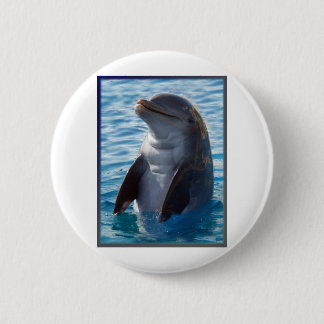 dolphin stand 2 inch round button