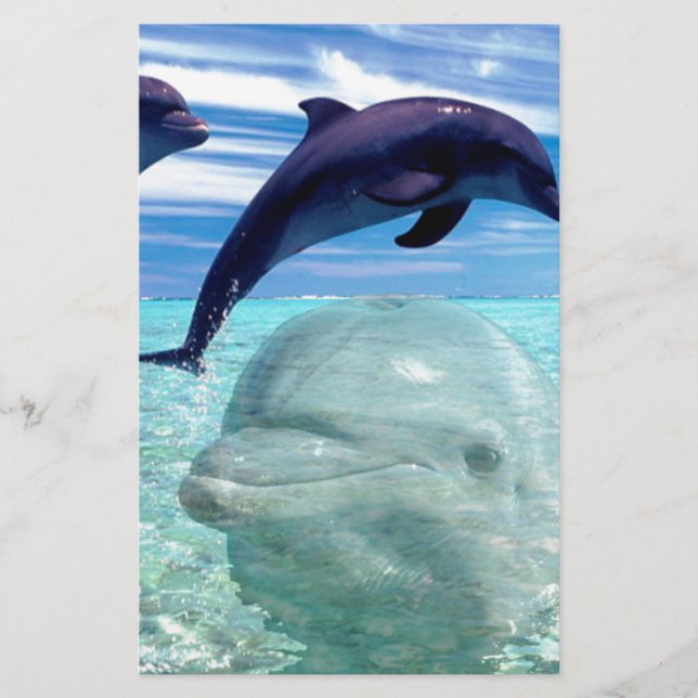 Dolphin Stationery (Front)