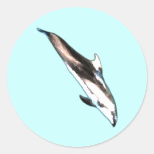 Dolphin Stickers