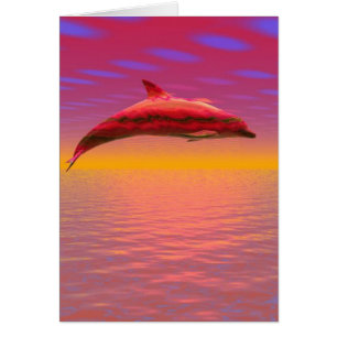 Dolphin Sunset