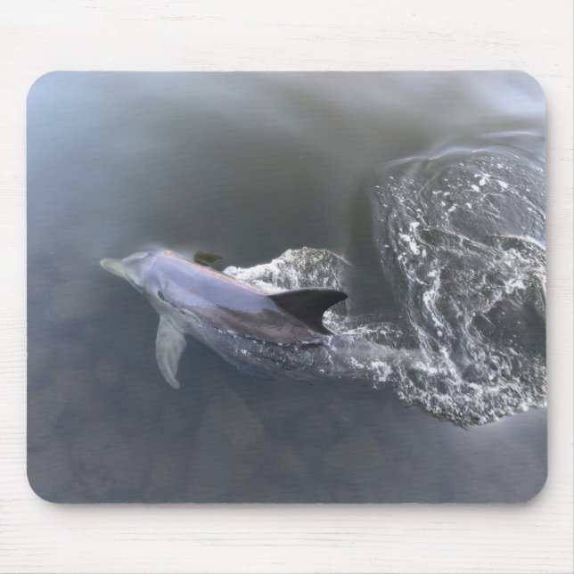 Dolphin Swimming Mouse Pad (Front)