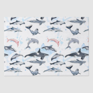 Dolphin theme party kids watercolor drawing  tissue paper