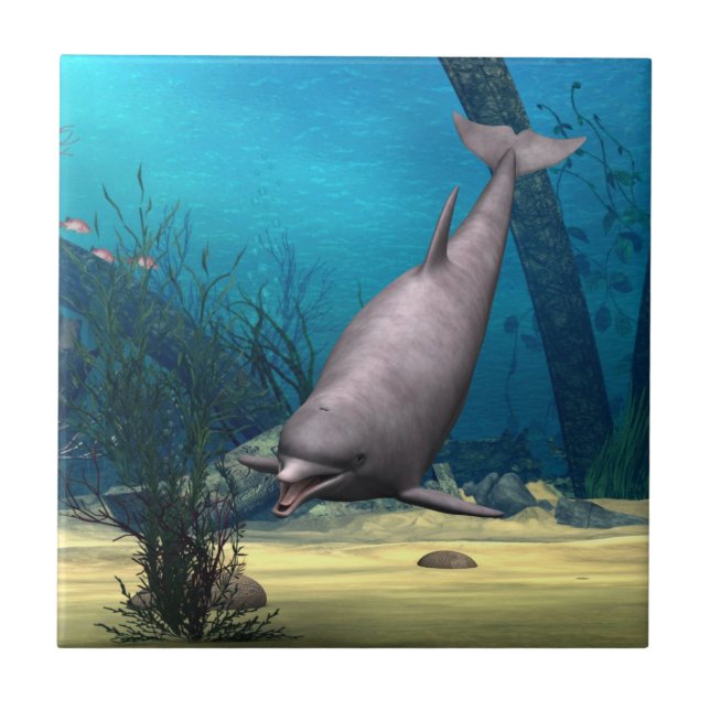 Dolphin Tile (Front)