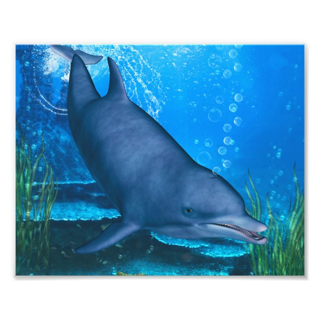 Dolphin Underwater Photo Print (Front)