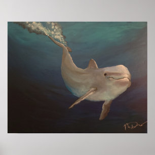 Dolphin underwater poster