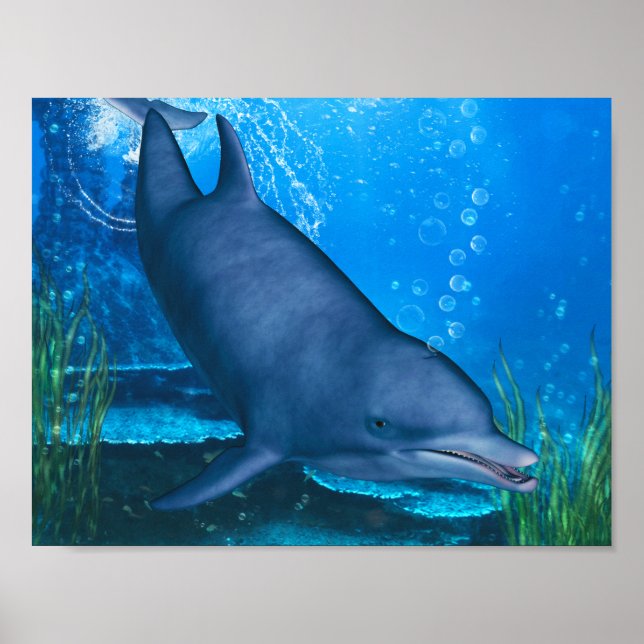 Dolphin Underwater Poster (Front)