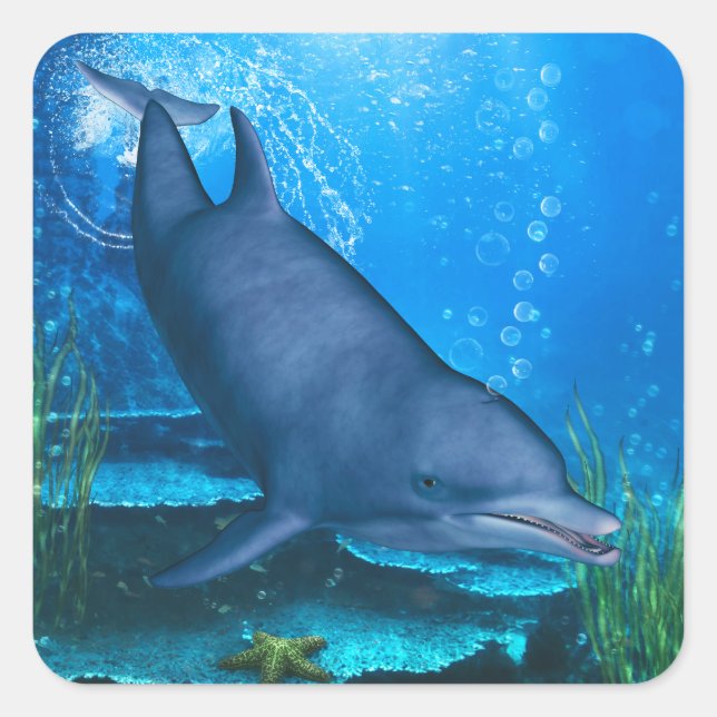 Dolphin Underwater Square Sticker (Front)
