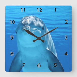 Dolphin Wall Clock