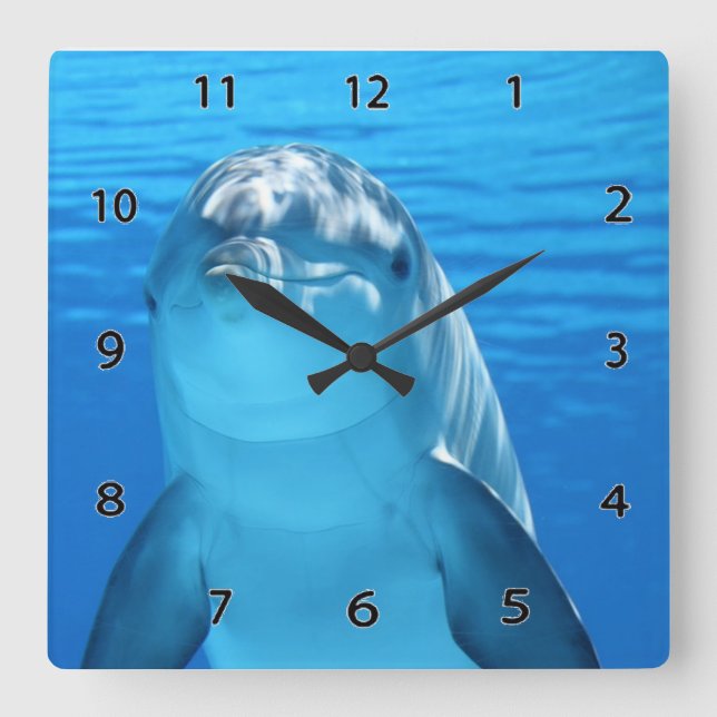 Dolphin Wall Clock (Front)