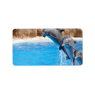 Dolphin Water Fish Beach Animal Party Destiny Label