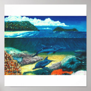 dolphines poster