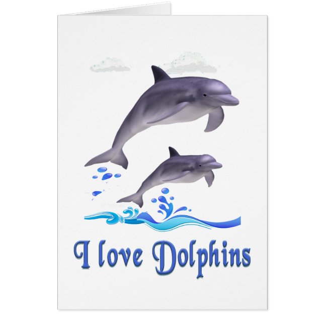 Dolphins (Front)