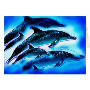 Dolphins