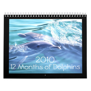 Dolphins 2010 Calendar