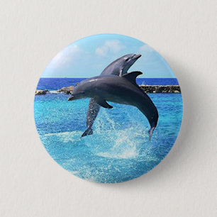 Dolphins 2 Inch Round Button