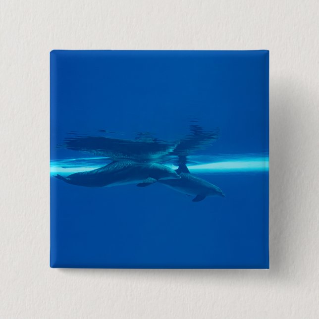 Dolphins and reflections 2 inch square button (Front)