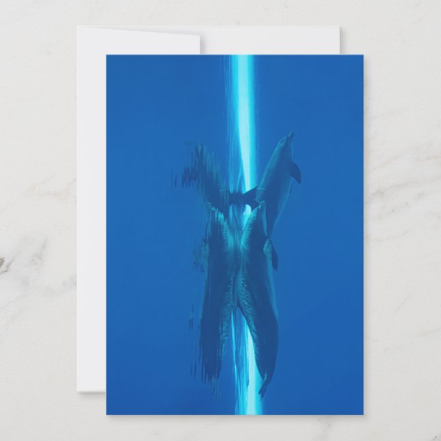 Dolphins and reflections blue ocean waters invitation (Front)