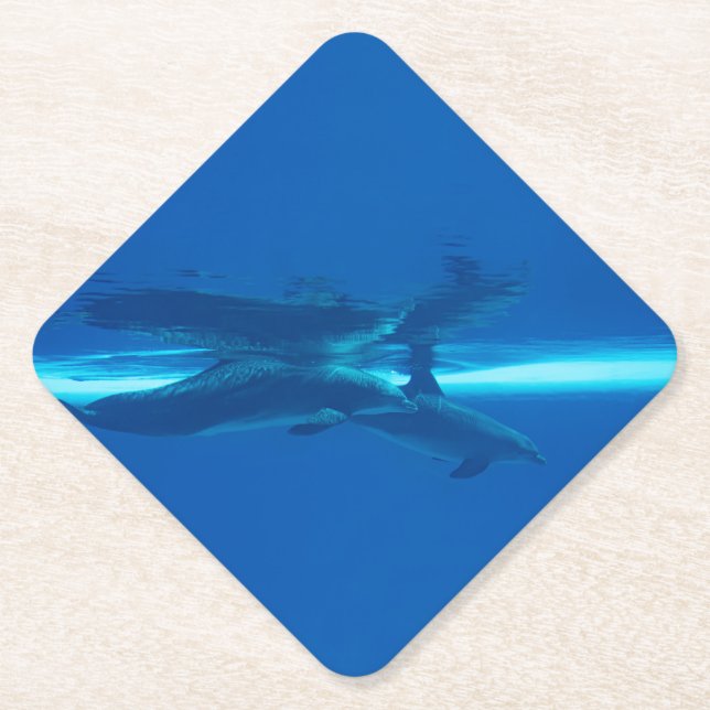 Dolphins and reflections  paper coaster (Front)