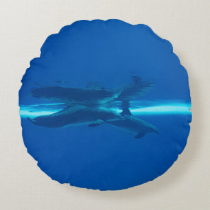 Dolphins and reflections round pillow