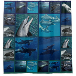 Dolphins And Whales Collage