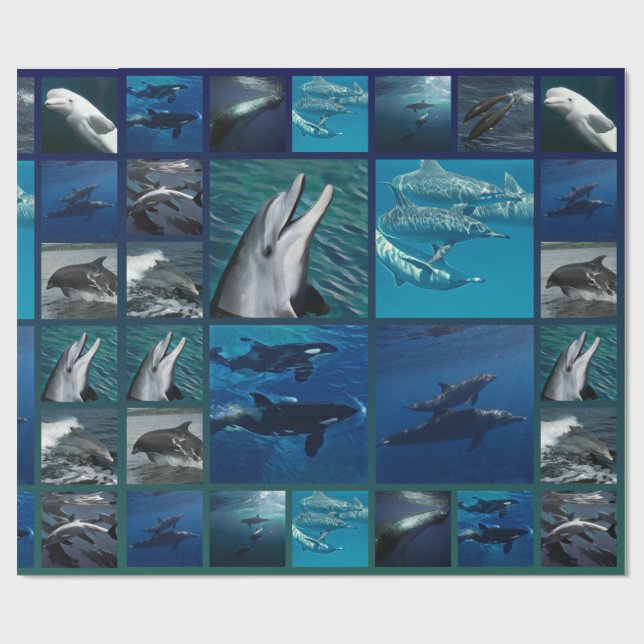 Dolphins And Whales Collage Wrapping Paper (Flat)