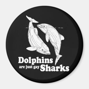 Dolphins are just gay sharks magnet