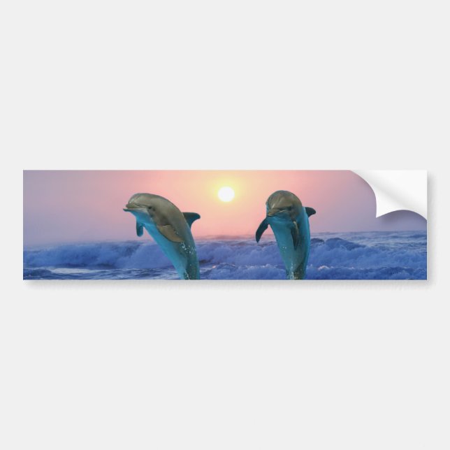 Dolphins at sunrise bumper sticker (Front)