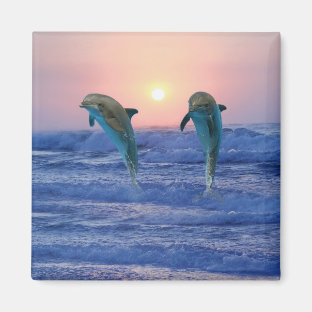Dolphins at sunrise magnet (Front)