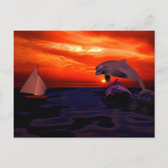Dolphins at Sunset Postcard (Front)
