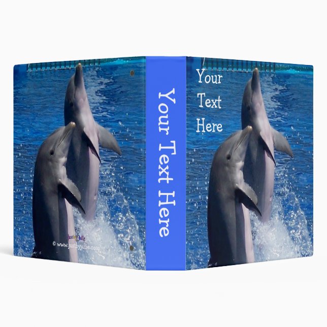 Dolphins Binder (Background)