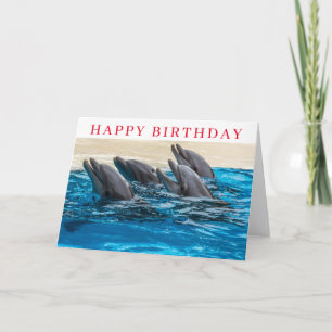 Dolphins birthday card