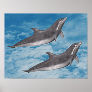 Dolphins Blue Sky White Clouds Nature Fantasy Poster