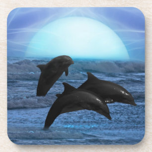 Dolphins by moonlight coaster