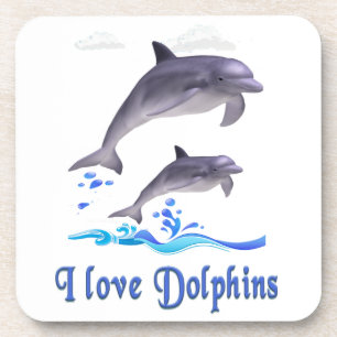 Dolphins Coaster