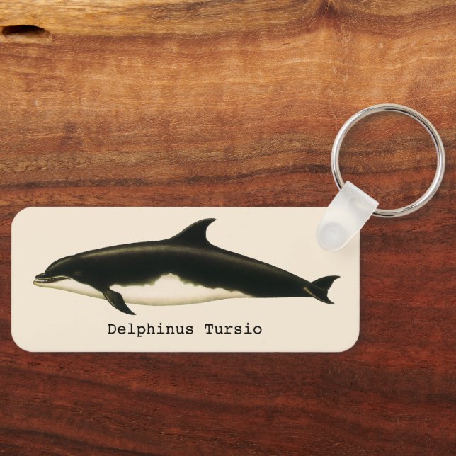 Dolphins Delphinus Tursio, Vintage Marine Animals Keychain (Front)