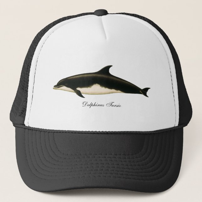 Dolphins Delphinus Tursio, Vintage Marine Animals Trucker Hat (Front)