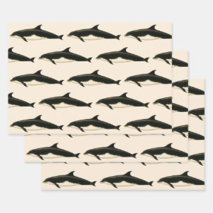 Dolphins Delphinus Tursio, Vintage Marine Animals Wrapping Paper Sheet