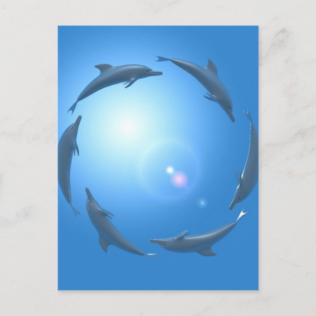 Dolphins floating in a circle postcard (Front)