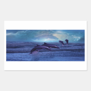 Dolphins fun and play sticker
