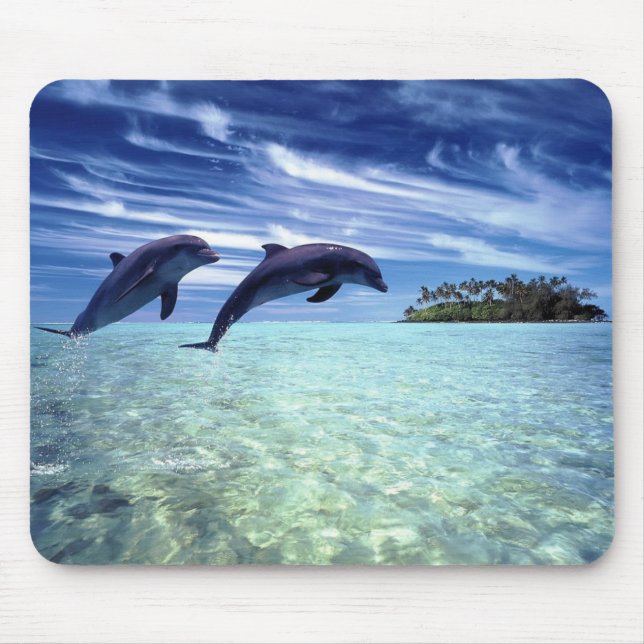 Dolphins Galore Mouse Pad (Front)